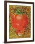 Strawberry in Straw, 1998-E.B. Watts-Framed Giclee Print