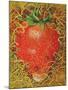 Strawberry in Straw, 1998-E.B. Watts-Mounted Giclee Print