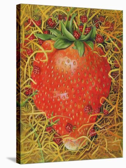 Strawberry in Straw, 1998-E.B. Watts-Stretched Canvas