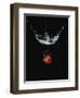 Strawberry in Water-John Smith-Framed Photographic Print