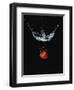 Strawberry in Water-John Smith-Framed Photographic Print