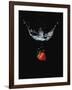 Strawberry in Water-John Smith-Framed Photographic Print