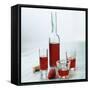 Strawberry Liqueur in Bottle and Three Different Glasses-Michael Paul-Framed Stretched Canvas