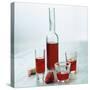 Strawberry Liqueur in Bottle and Three Different Glasses-Michael Paul-Stretched Canvas