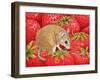Strawberry-Mouse, 1995-Ditz-Framed Premium Giclee Print
