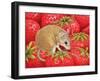 Strawberry-Mouse, 1995-Ditz-Framed Premium Giclee Print