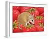 Strawberry-Mouse, 1995-Ditz-Framed Premium Giclee Print