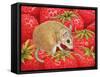 Strawberry-Mouse, 1995-Ditz-Framed Stretched Canvas