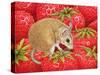 Strawberry-Mouse, 1995-Ditz-Stretched Canvas