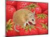 Strawberry-Mouse, 1995-Ditz-Mounted Giclee Print