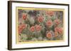 Strawberry or Hedgehog Cactus-null-Framed Art Print