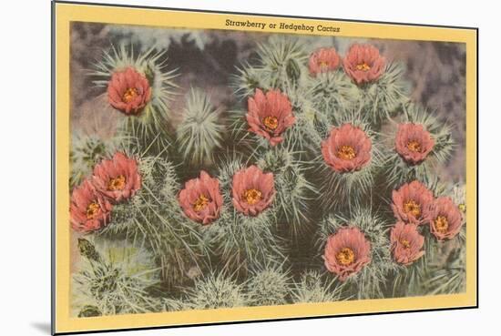 Strawberry or Hedgehog Cactus-null-Mounted Art Print