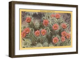 Strawberry or Hedgehog Cactus-null-Framed Art Print