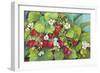 Strawberry Patch - A. Ripe on the Vine-Joanne Porter-Framed Giclee Print