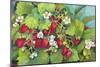 Strawberry Patch - A. Ripe on the Vine-Joanne Porter-Mounted Giclee Print