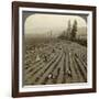 Strawberry Picking, Cedar Creek Farm, Hood River Valley, Oregon, Usa-Underwood & Underwood-Framed Photographic Print