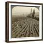 Strawberry Picking, Cedar Creek Farm, Hood River Valley, Oregon, Usa-Underwood & Underwood-Framed Photographic Print