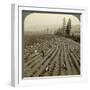 Strawberry Picking, Cedar Creek Farm, Hood River Valley, Oregon, Usa-Underwood & Underwood-Framed Photographic Print