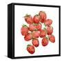 Strawberry Picking II-Annie Warren-Framed Stretched Canvas