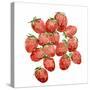 Strawberry Picking II-Annie Warren-Stretched Canvas