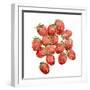 Strawberry Picking II-Annie Warren-Framed Art Print