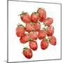 Strawberry Picking II-Annie Warren-Mounted Art Print
