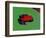 Strawberry Poison Dart Frog in a Rainforest, Costa Rica-Charles Sleicher-Framed Photographic Print