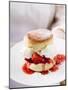 Strawberry Shortcake with Cream-null-Mounted Photographic Print