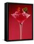 Strawberry Sorbet in a Stem Glass-Bodo A^ Schieren-Framed Stretched Canvas