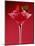 Strawberry Sorbet in a Stem Glass-Bodo A^ Schieren-Mounted Photographic Print