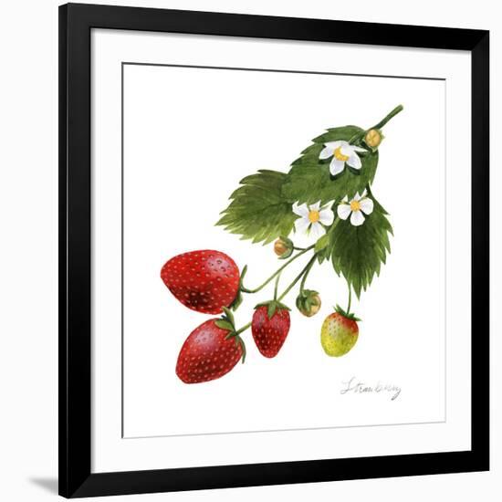 Strawberry Study II-Grace Popp-Framed Art Print