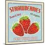 Strawberry Vintage Poster-radubalint-Mounted Art Print