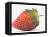 Strawberry-null-Framed Stretched Canvas