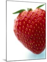 Strawberry-null-Mounted Photographic Print