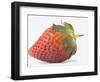 Strawberry-null-Framed Photographic Print