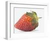 Strawberry-null-Framed Photographic Print