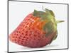 Strawberry-null-Mounted Photographic Print