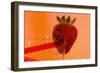 Strawberry-Gordon Semmens-Framed Photographic Print