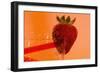 Strawberry-Gordon Semmens-Framed Photographic Print
