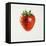 Strawberry-Sydney Edmunds-Framed Stretched Canvas