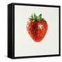 Strawberry-Sydney Edmunds-Framed Stretched Canvas