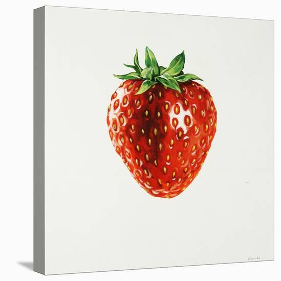 Strawberry-Sydney Edmunds-Stretched Canvas