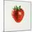 Strawberry-Sydney Edmunds-Mounted Giclee Print