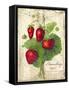 Strawberry-Kate Ward Thacker-Framed Stretched Canvas