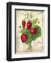 Strawberry-Kate Ward Thacker-Framed Giclee Print