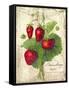 Strawberry-Kate Ward Thacker-Framed Stretched Canvas