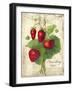 Strawberry-Kate Ward Thacker-Framed Giclee Print