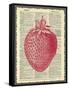 Strawberry-Erin Clark-Framed Stretched Canvas
