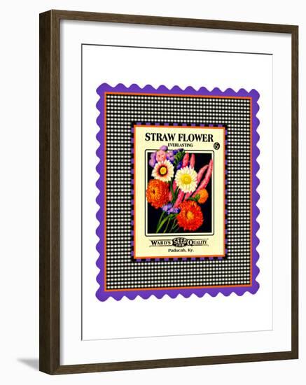 Strawflower Seed Pack-null-Framed Giclee Print