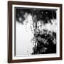 Straws Sticking Up from the Water in a River with Spiders Web-Henriette Lund Mackey-Framed Photographic Print